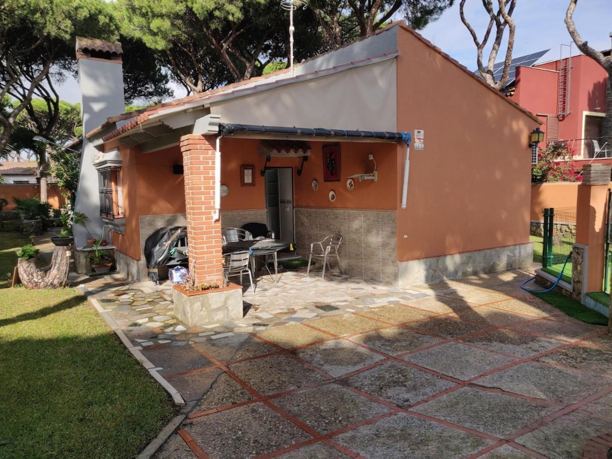 נובו סנקטי פטרי Chalet Los Pinos Con Piscina Privada מראה חיצוני תמונה